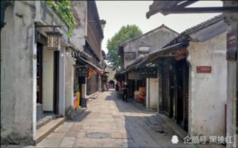 小萌兔的影分身